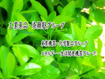 �O���[�v�ʎ戵�i�ڂ�